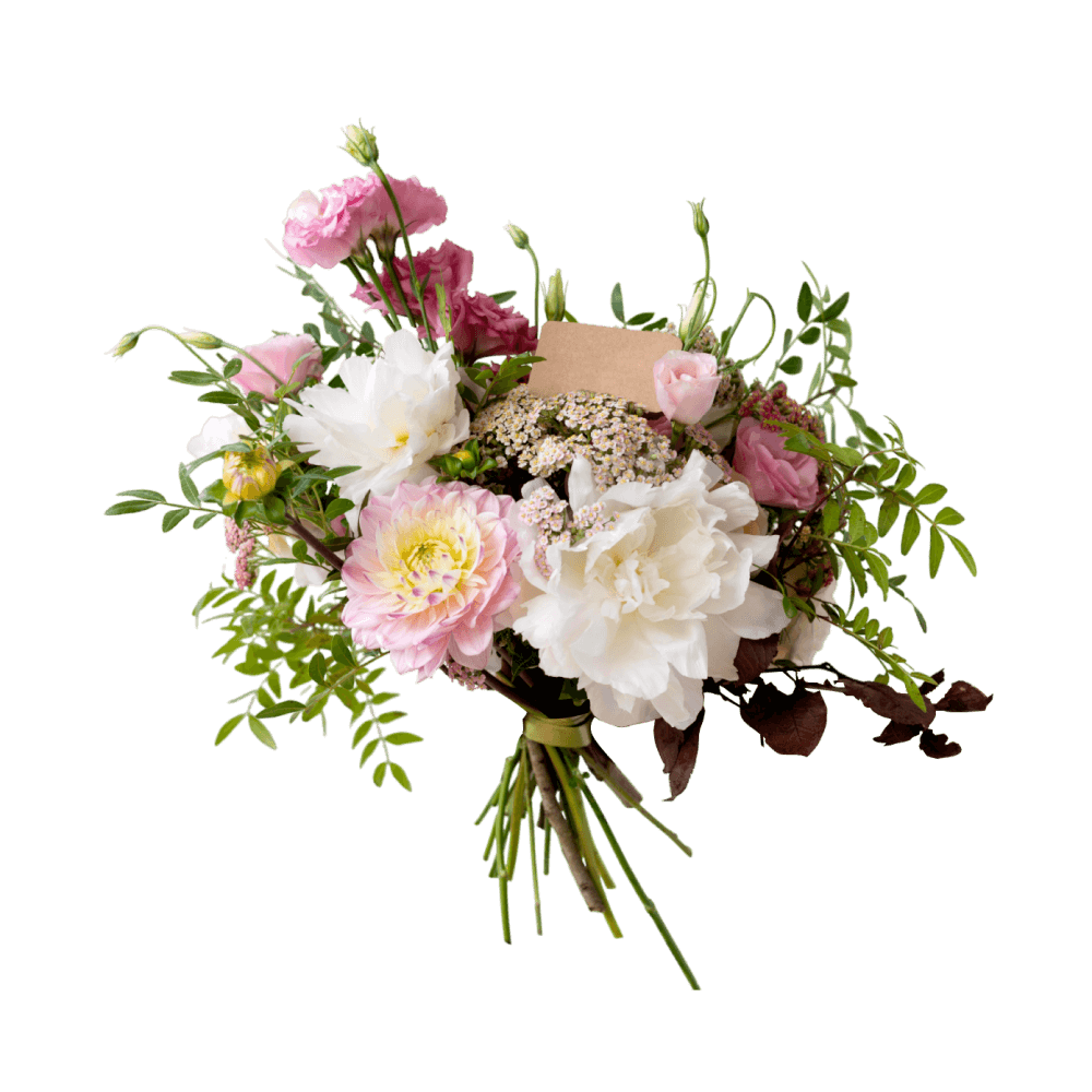 Spring breath flower - Image 1