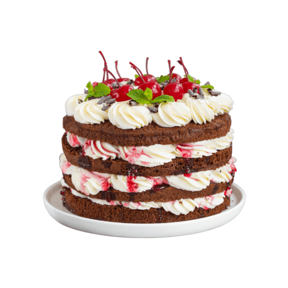 Double layer fruit cake - Image 3